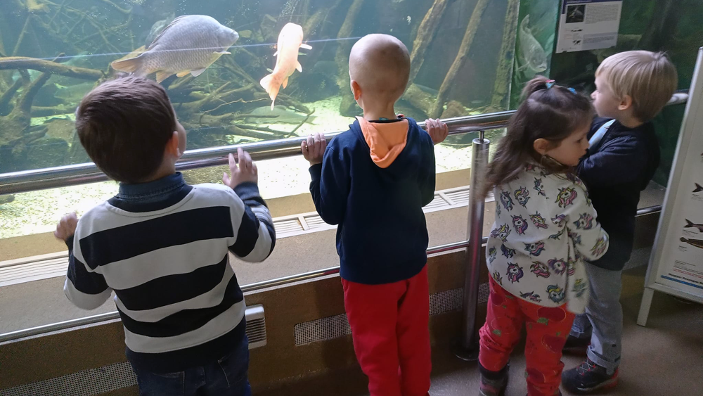 Tropicarium 2