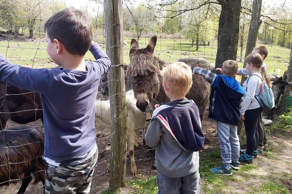 Állatfarm 1