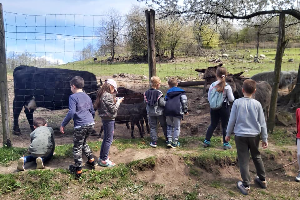 Állatfarm 3