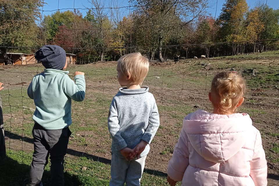 Állatfarm 02