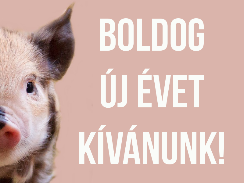 Újévi köszöntő